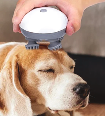 Massajador Portátil StockLíder – Relaxamento completo em qualquer lugar